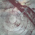 20120910235753-rr_cocktail_545_1_