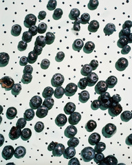 Blueberries (2),Sam Falls