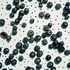 20120911101025-m_b-falls-sam-blueberries