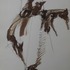 20120911180615-drawing_iii
