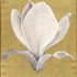 20120912123506-transcendencedesign_magnolia