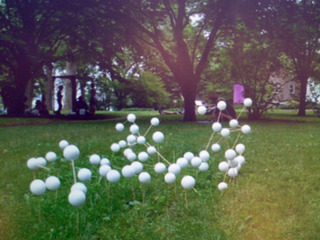 Interactive Animated Sculpture,Lauren Razzore