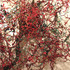 20120912142739-necessity_detail