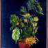 20120912181106-dried_not_died