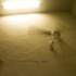 20120912211941-inviteimage_jpeg