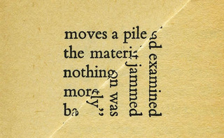  Examined,Erica Baum