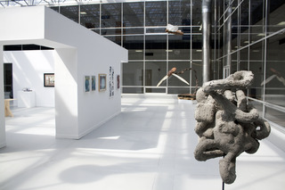 ,Installation Shot