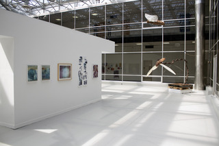 ,Installation Shot