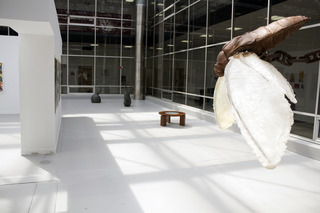 ,Installation Shot