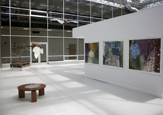 ,Installation Shot