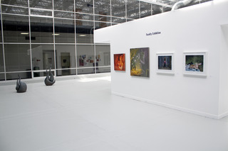 ,Installation Shot