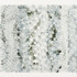20120913155049-_dsc4519