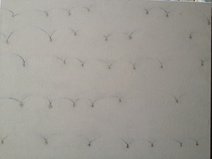 20120913220103-img_1359
