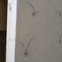 20120913220457-img_1357