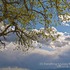 20120914003918-clouds29_hdr