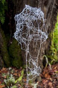 20120914010039-spider_webs-8