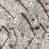 20120914140520-paysage2