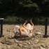 20120915042231-gods_3