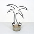 20120915063125-palm