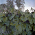 20120916012642-branan_018