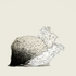 20120916045429-hayfever_flat2