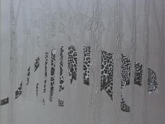 20120916205947-felinos_006