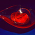 20120916230603-aac_img_exhibits_chihuly_lg