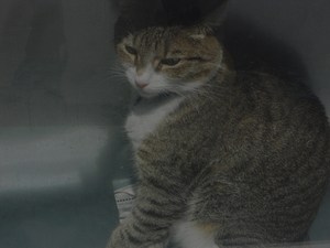 20120917131320-dscn8530