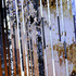 20120917145319-distortion_22b