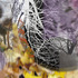 20120917222043-autallurefinalc14x24