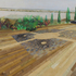 20120917225211-cheryl_molnar_small