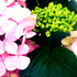 20120918200145-erg1