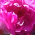 20120918200240-img_0153