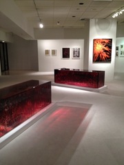 Wild Thing Gallery View,Jordan Eagles, ANNA FIDLER