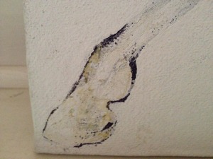 20120918221110-img_1090