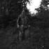 20120919000144-web_pedersen1-460x606