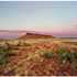 20120919030218-rosemarylaing