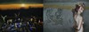 20120919144152-carne6-50