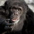 20120919192851-monohand