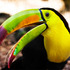 20120919193025-tucan