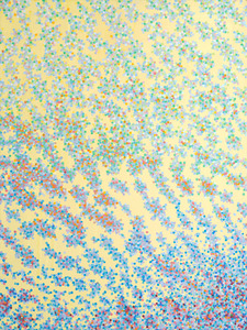 20120919211813-kolo_attraction