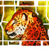 20120921052338-big_cat_design_online