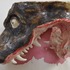 20120921203435-head-small-size