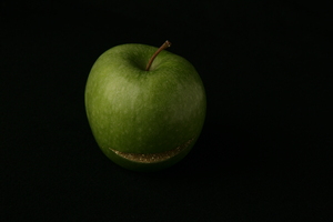20120922111815-img_0786