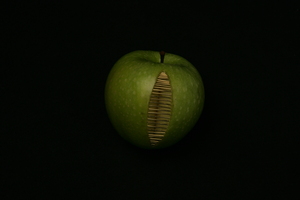 20120922112128-img_0792