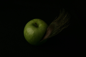 20120922112550-img_0831