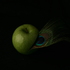 20120922114459-img_0825