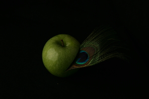 20120922114459-img_0825
