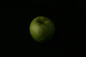 20120922114633-img_0820