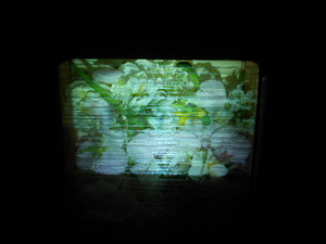 20120922115945-embroidry_and_girl_040